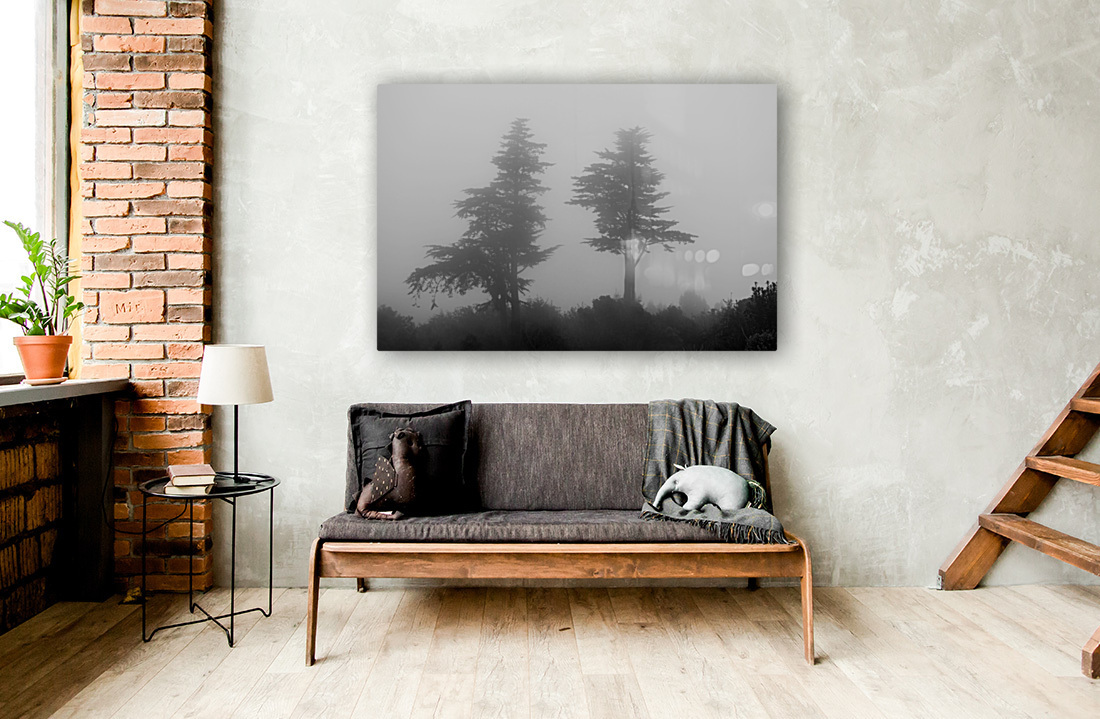 Mist and fog envelop two pine trees Reproduction