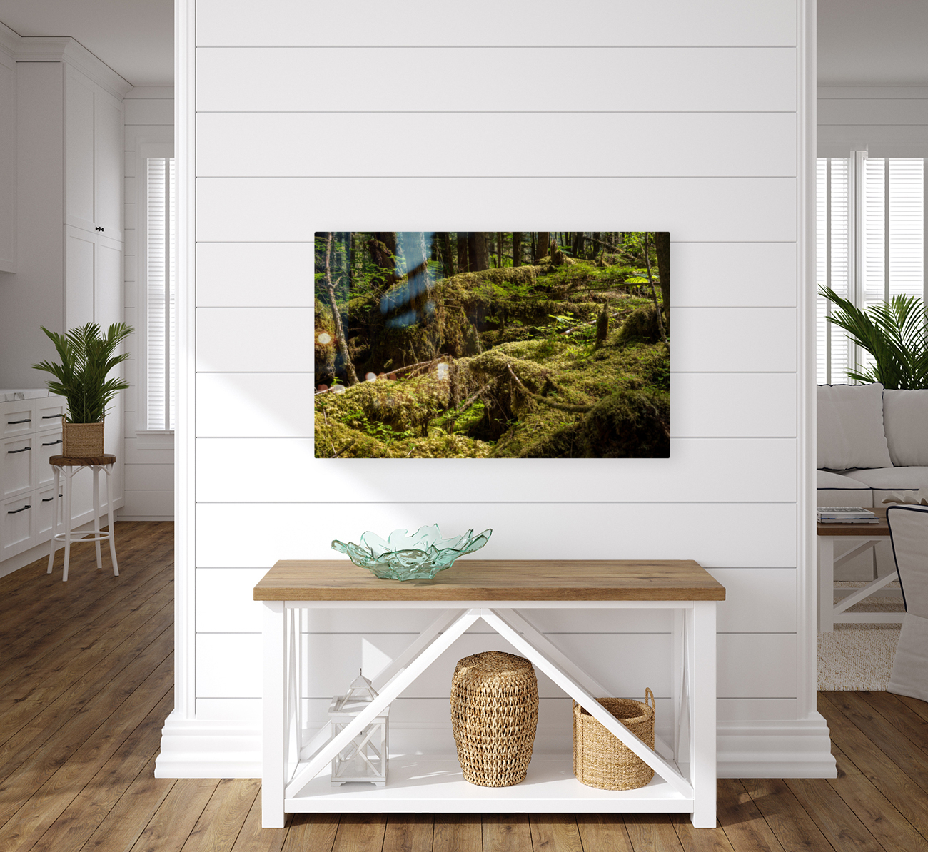 Dense vegetation in temperate rain forest in Alaska Reproduction