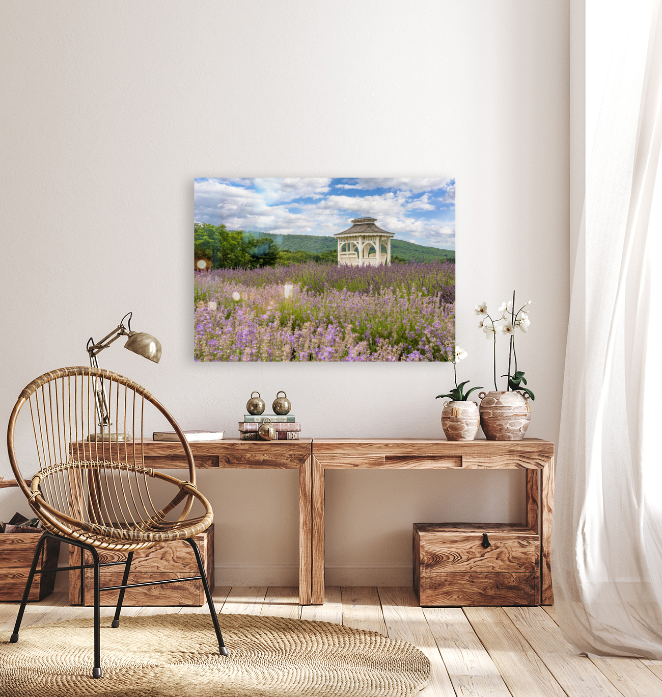 Lavender plants in blossom in early July with building Reproduction