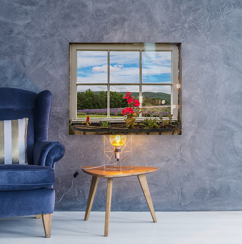 Lavender plants in blossom in early July through window Reproduction