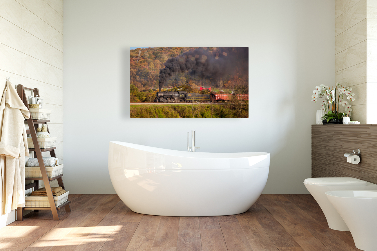 WMRR Steam train powers along railway Reproduction