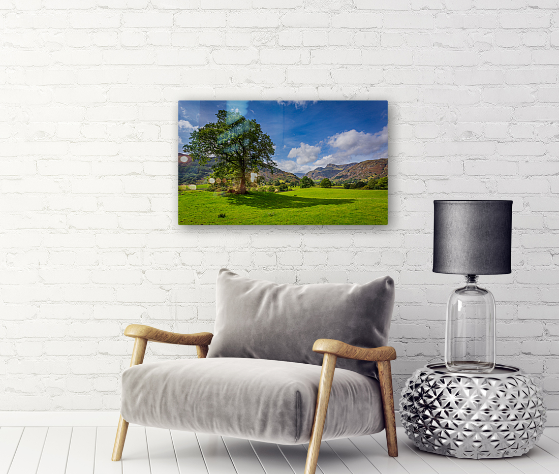 Tree with Langdale Pikes in Lake District Reproduction