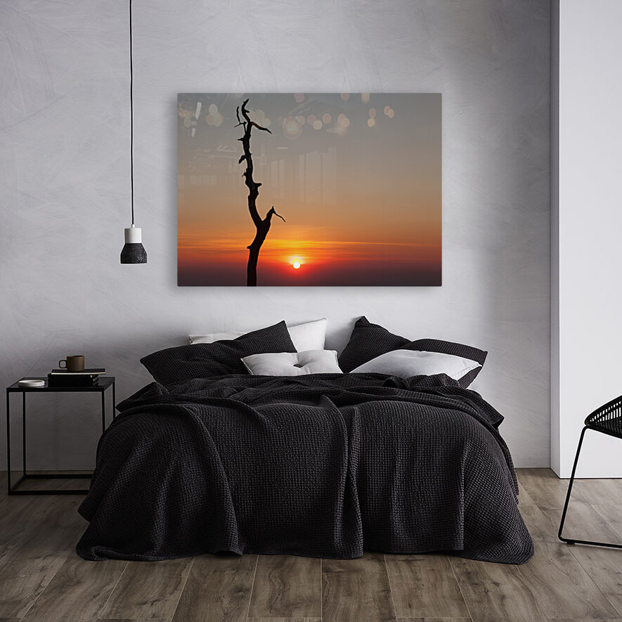 Gnarled tree on Skyline drive in Virginia Reproduction