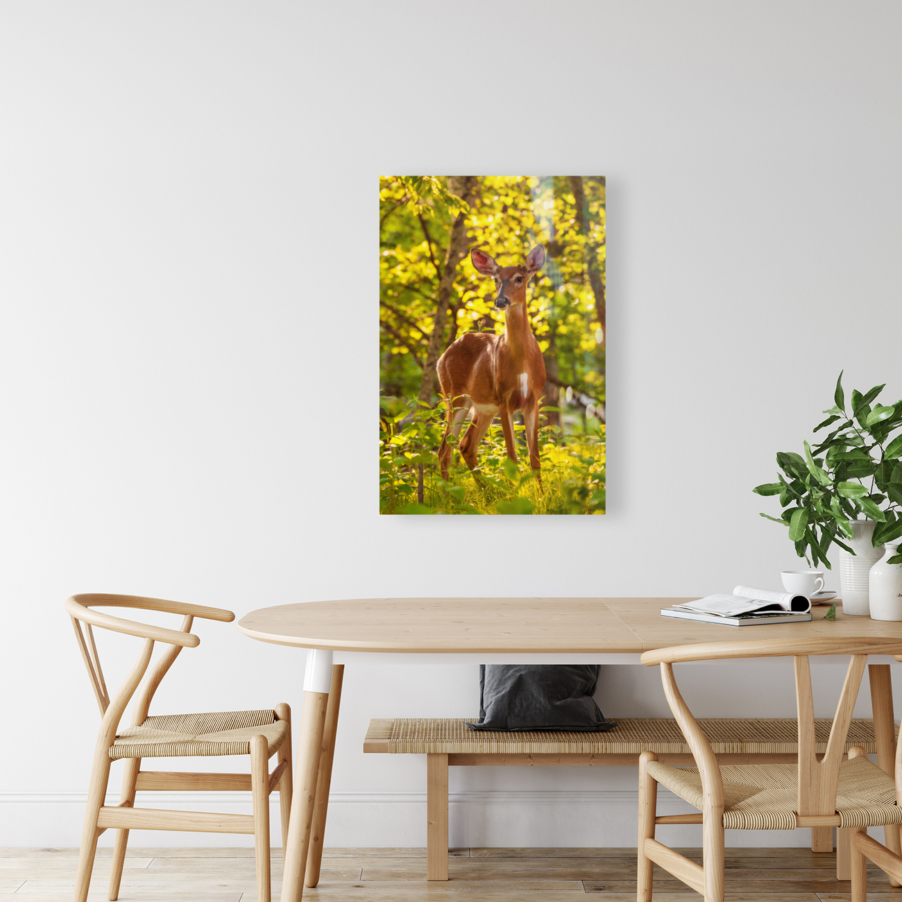 White tailed deer feeds at Big Meadow Reproduction