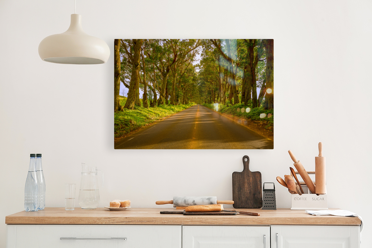 Famous Tree Tunnel of Eucalyptus trees Reproduction