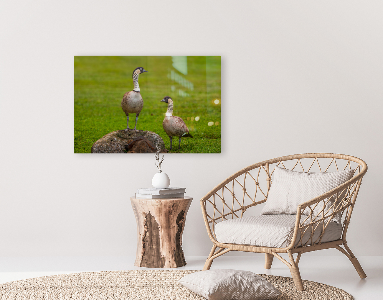 Pair of nene geese Reproduction