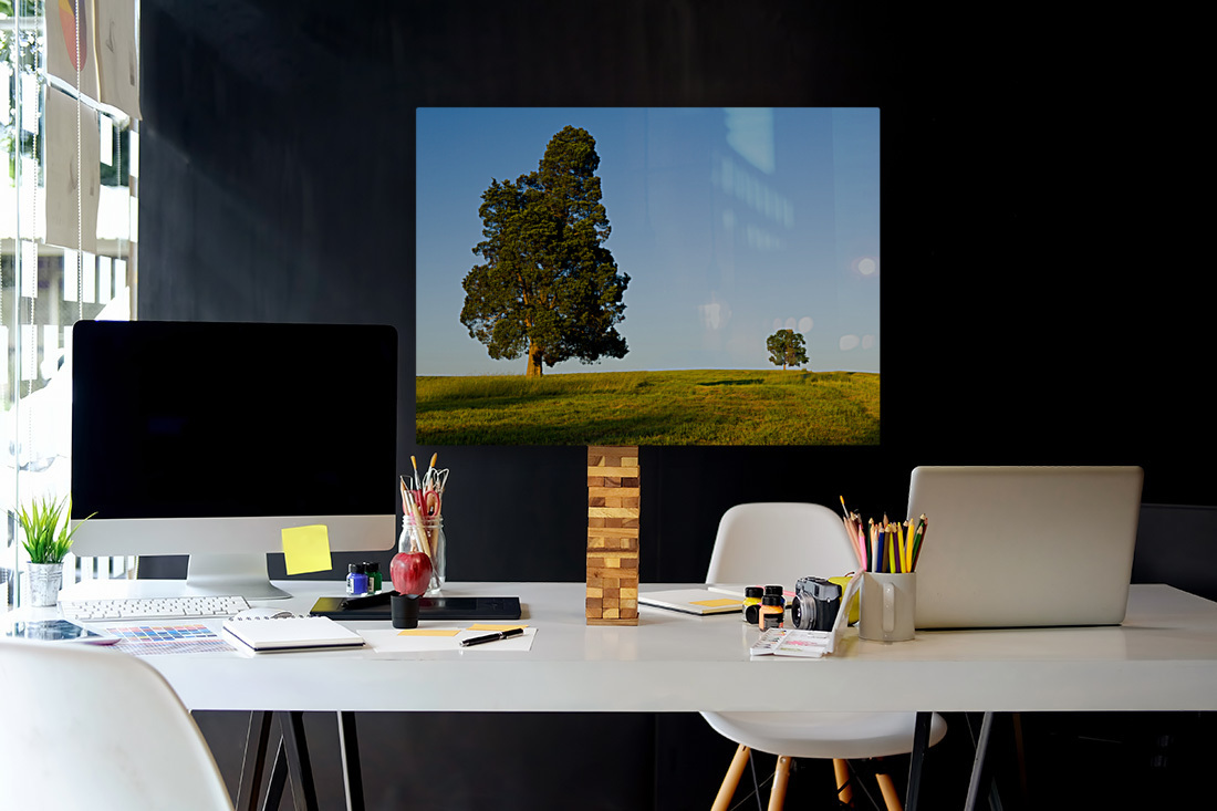 Large tree dominates small tree on hillside Reproduction