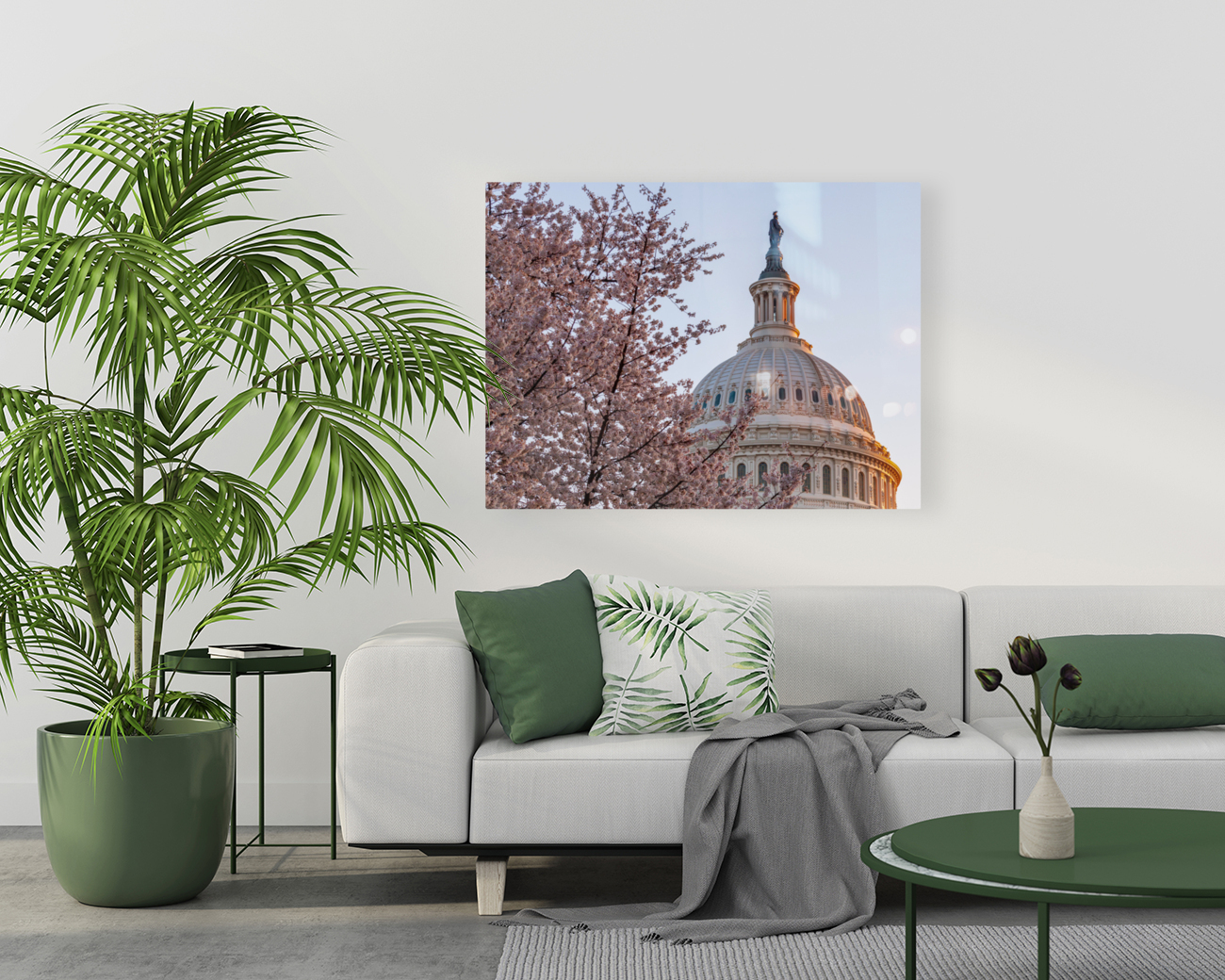 Cherry blossoms by the Capitol dome at dawn Reproduction