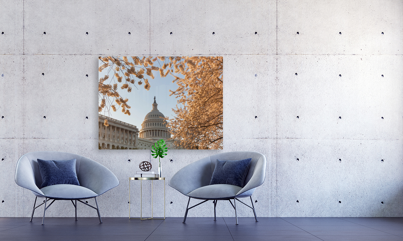 Cherry blossoms framing the Capitol Reproduction