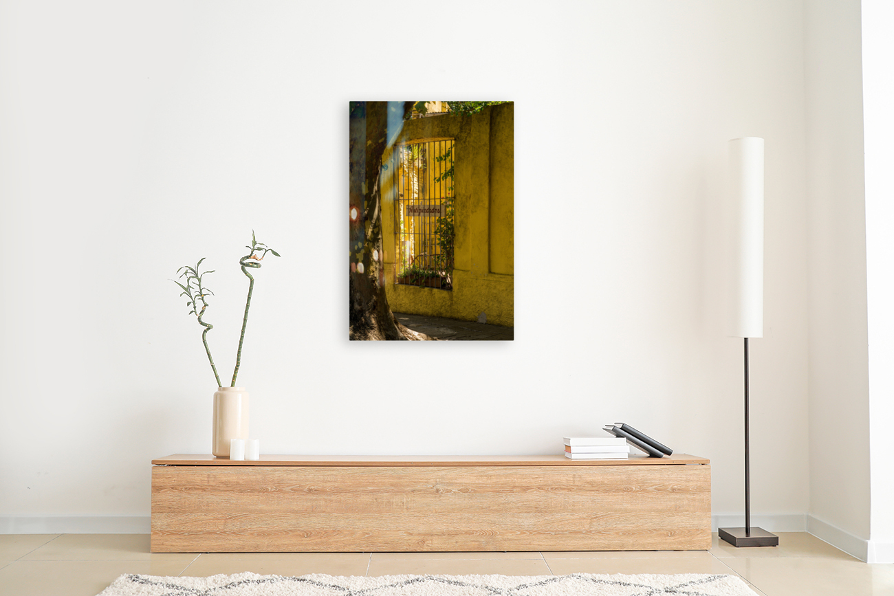 Window to courtyard of antique shop in Colonia del Sacramento Reproduction