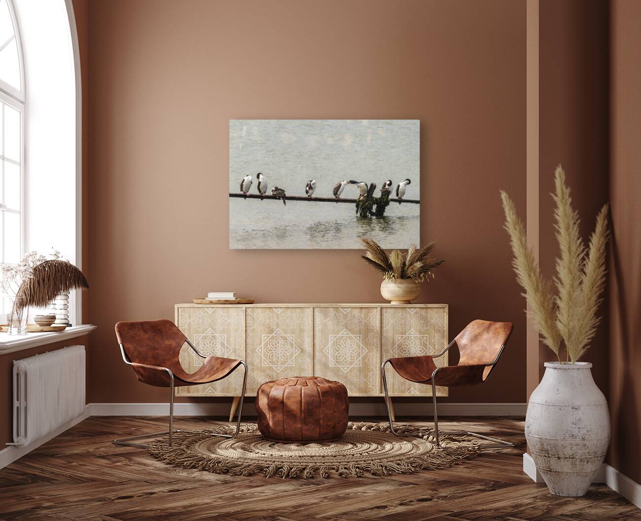 Colony of Imperial Cormorant seabirds in Punta Arenas Chile Reproduction