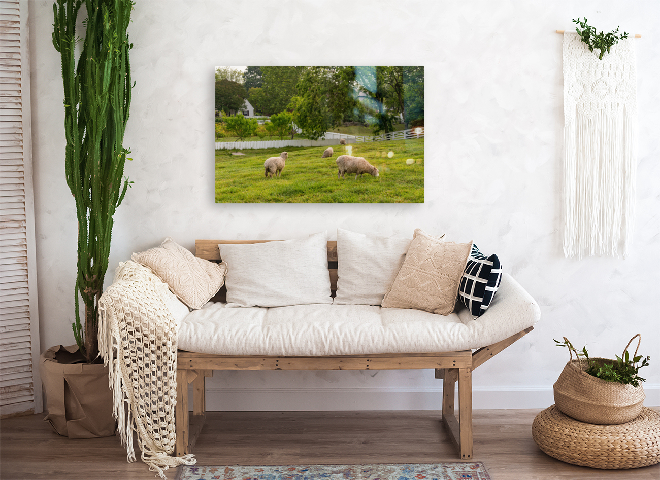 Sheep grazing in meadow in Williamsburg Virginia Reproduction