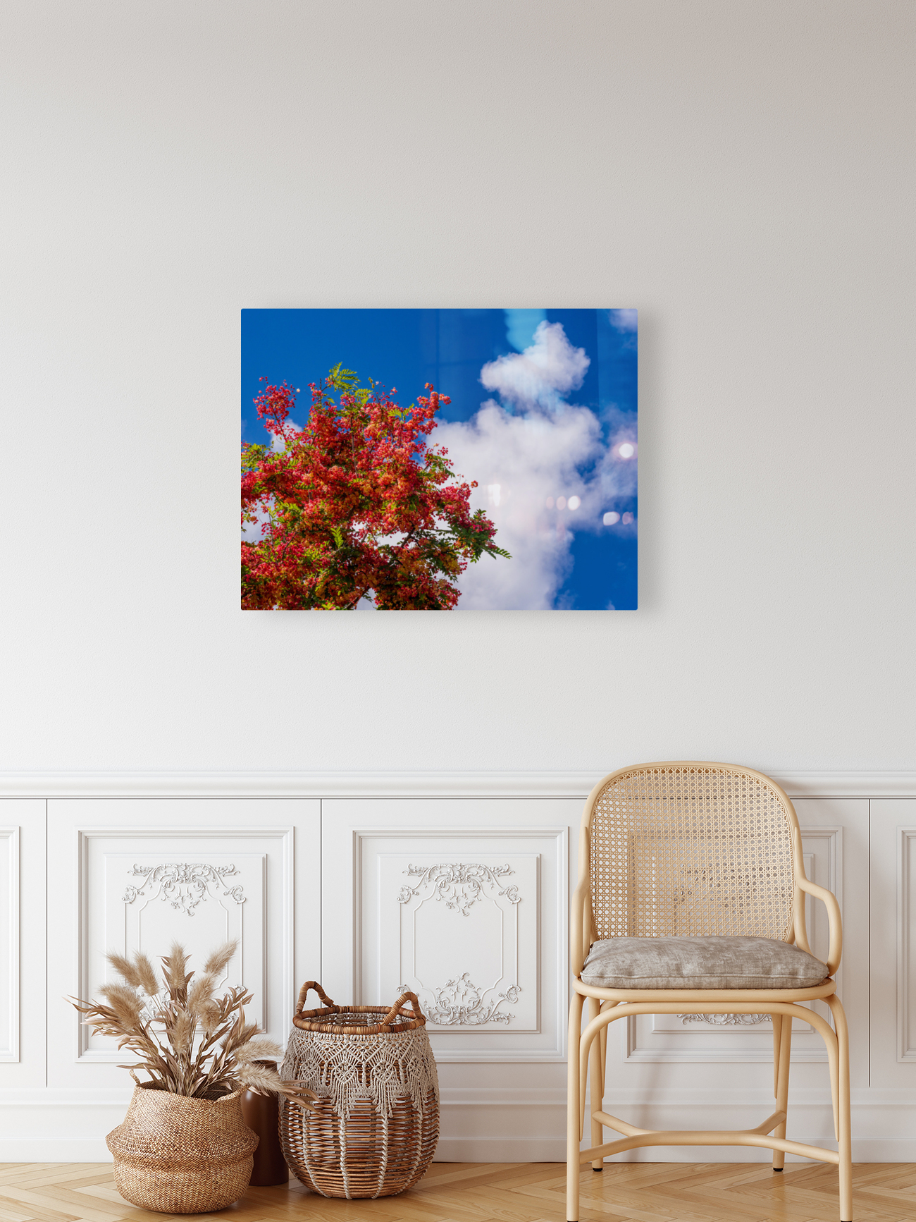 Gorgeous rainbow shower tree blossoms against blue sky Reproduction