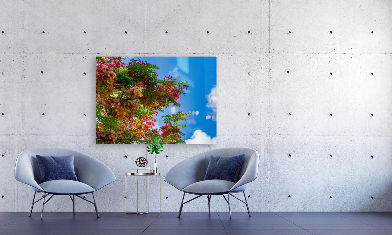 Gorgeous rainbow shower tree blossoms against blue sky Reproduction