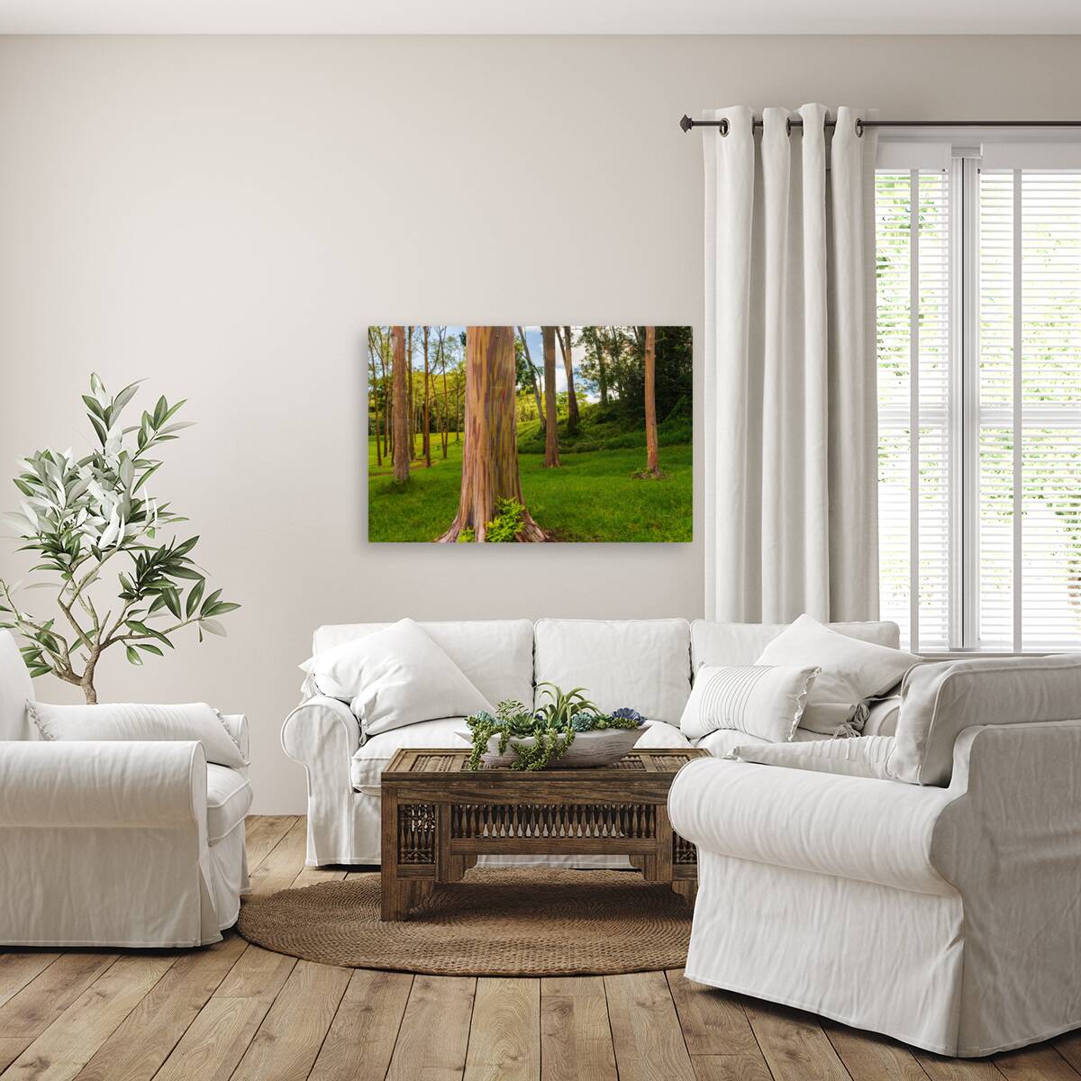 Group of rainbow eucalyptus trees in Keahua Arboretum Reproduction