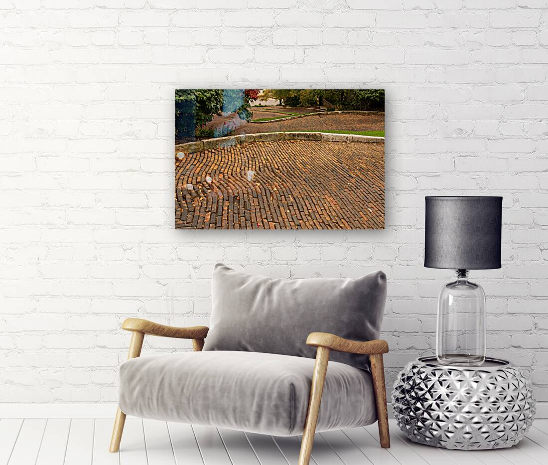 Pattern of bricks on Snake Alley in Burlington Iowa Reproduction