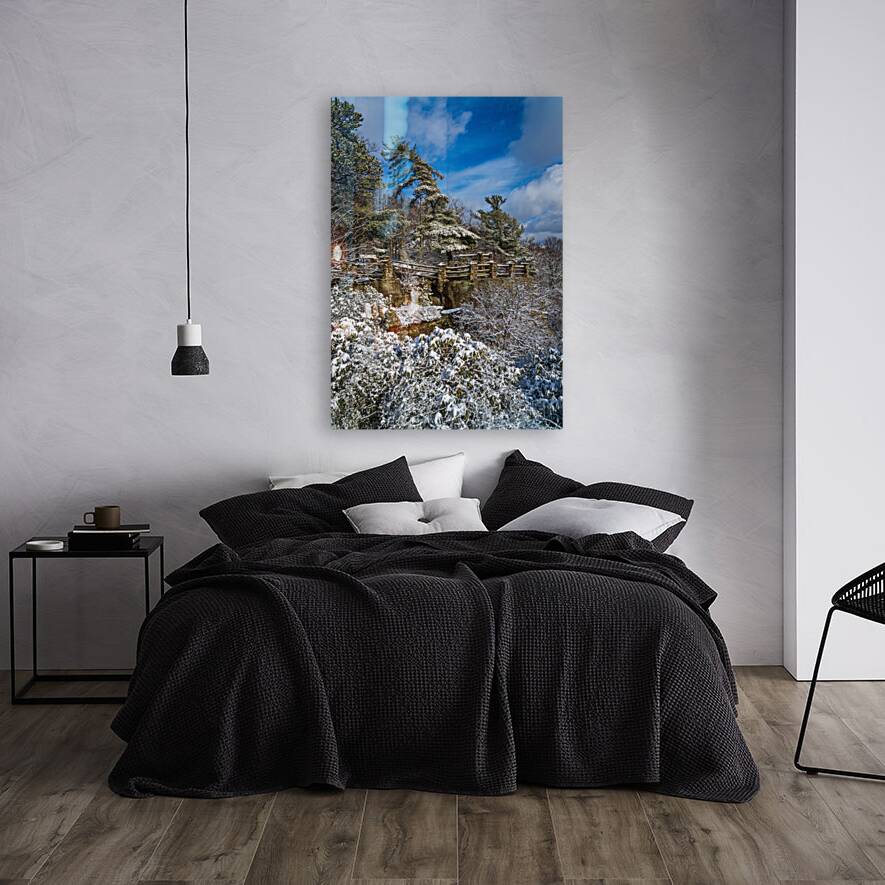 Coopers Rock overlook covered in winter snow near Morgantown Reproduction