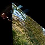 St Just in Roseland parish church in Cornwall UK HD Metal print