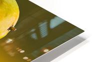 Two mangoes and one cut mango reflecting HD Metal print