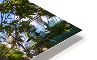 Gorgeous lagoon and lake in the Na Aina Kai sculpture garden HD Metal print