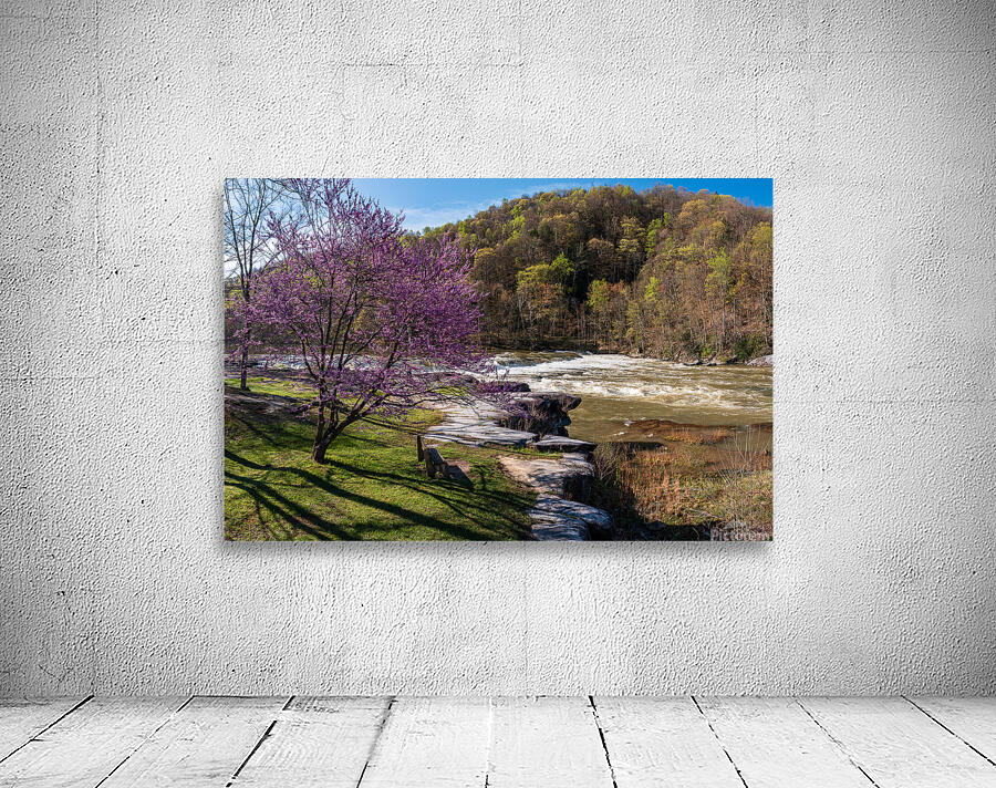 Bench view of Valley Falls on a bright spring morning Wall Preview
