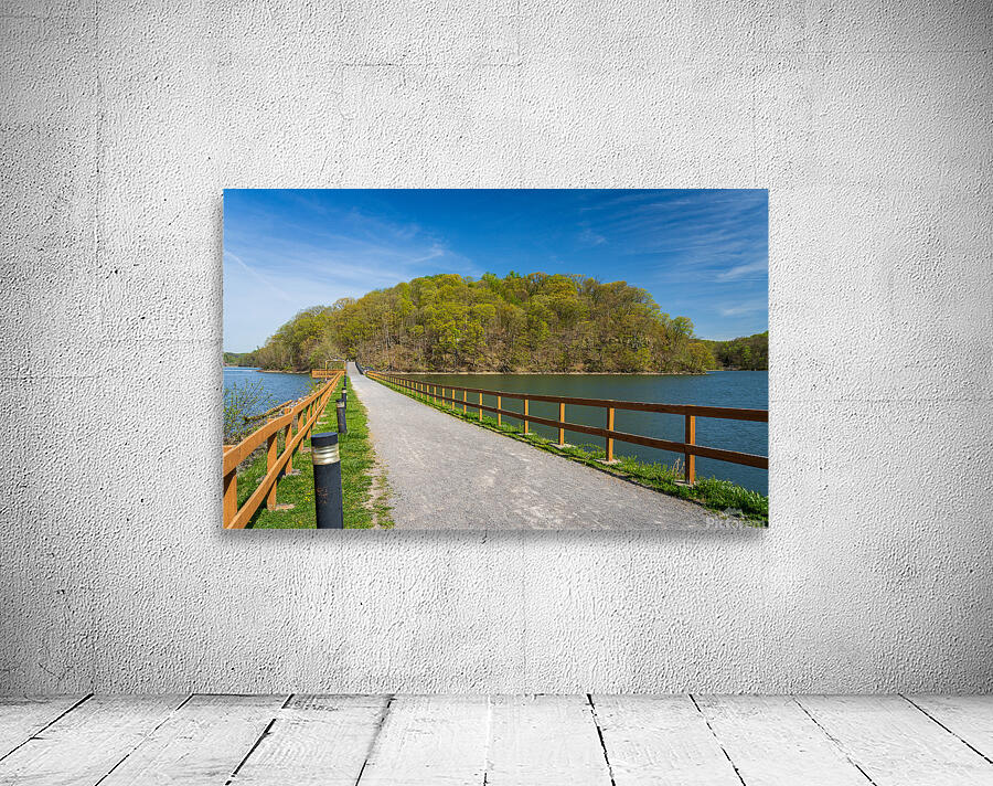 Pathway to spring leaves in Cheat Lake Morgantown WV Wall Preview
