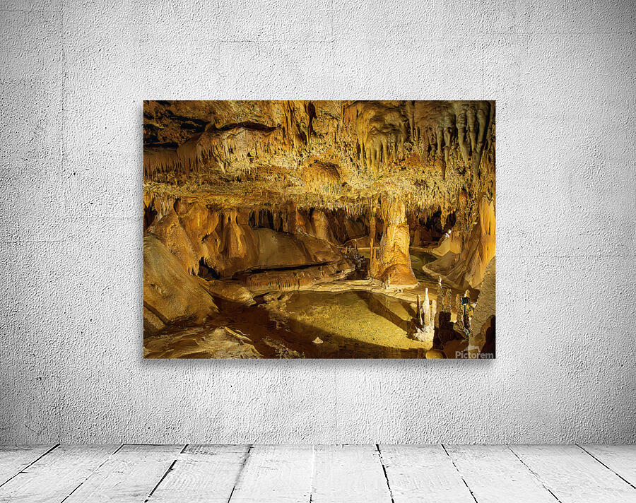 Geologic formations of stalactites and stalagmites in Texas cave Wall Preview