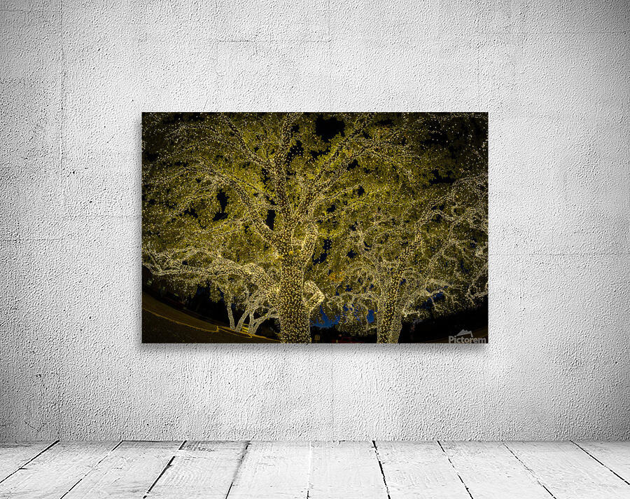 Holiday lights spectacular in Johnson City Texas Wall Preview