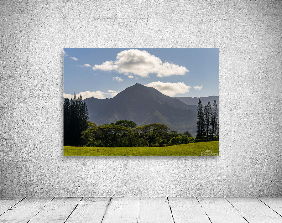 Princevilles stunning golf course with serene lake and mountain Wall Preview