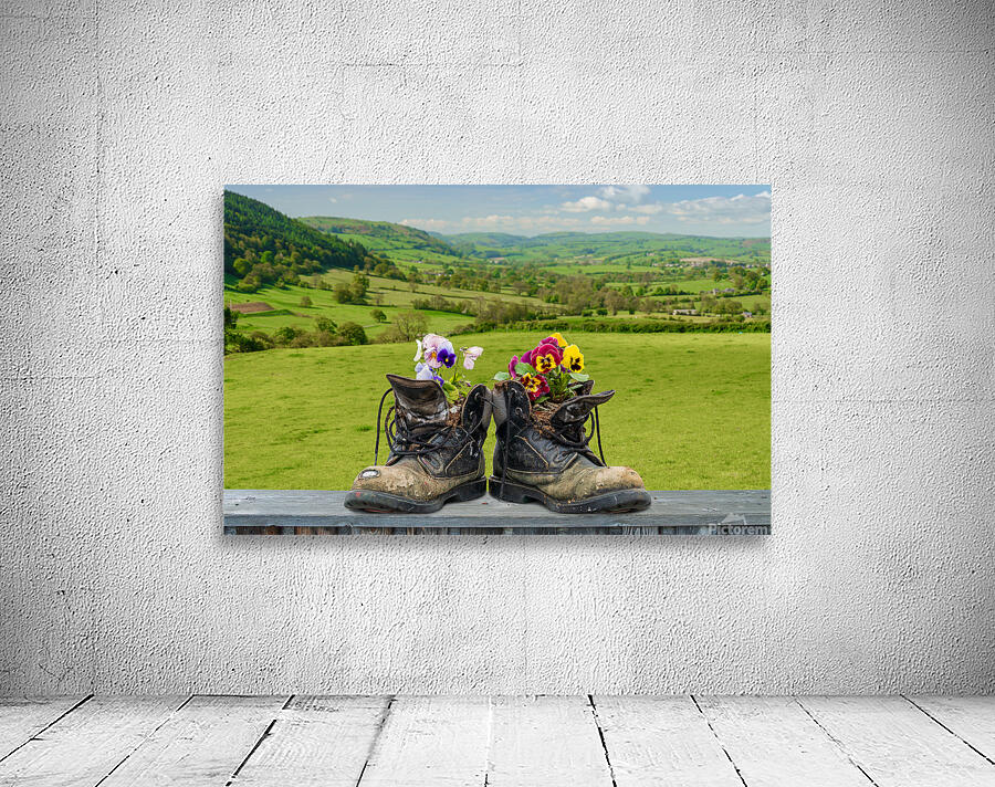 Pair of old hiking boots turned into plant pots with hill walkin Wall Preview