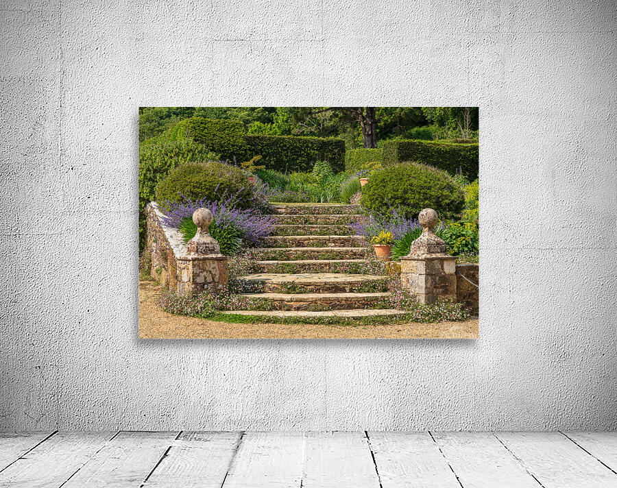 Stone steps into a hedged flower garden on the Isle of Wight Wall Preview