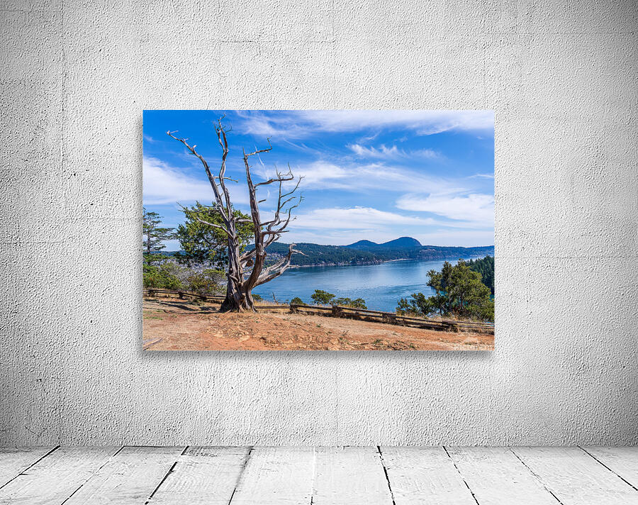 View from the Washington Park overlook over the town of Anacorte Wall Preview