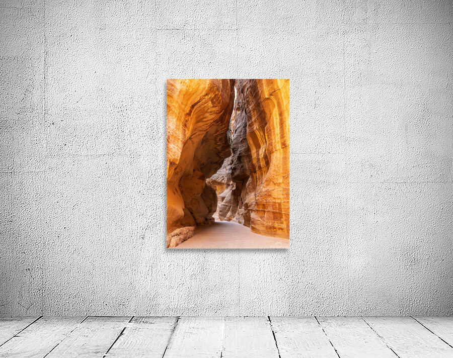 Narrow gorge of the Siq entering Petra Wall Preview