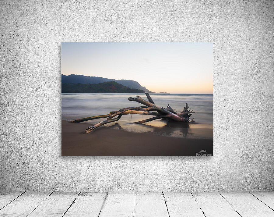 Whisper of the Tide driftwood on Hanalei bay beach at sunrise Wall Preview