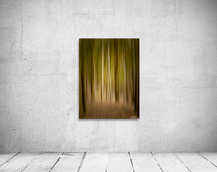 Path through pine trees with intentional camera movement Wall Preview