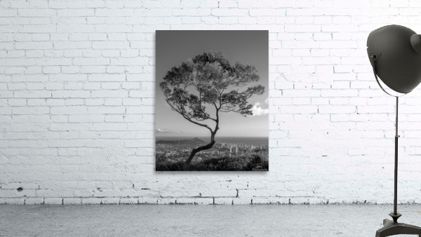 Solitary tree overlooks Waikiki in Black and White Wall Preview