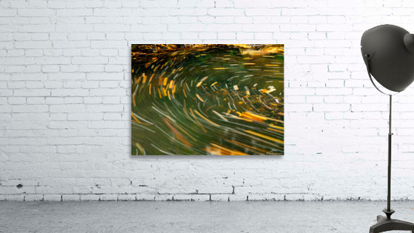 Swirling leaves on Deckers Creek Wall Preview