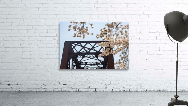 Spring blossoms by Steel girder bridge Morgantown Wall Preview