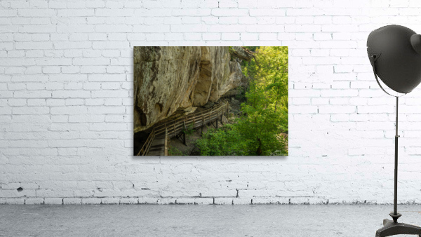 Pathway in Audra State Park near Buckhannon in West Virginia Wall Preview