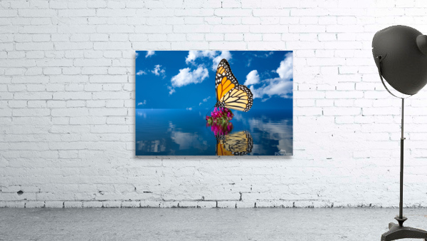 Sea level rise flooding the flowers for butterfly Wall Preview