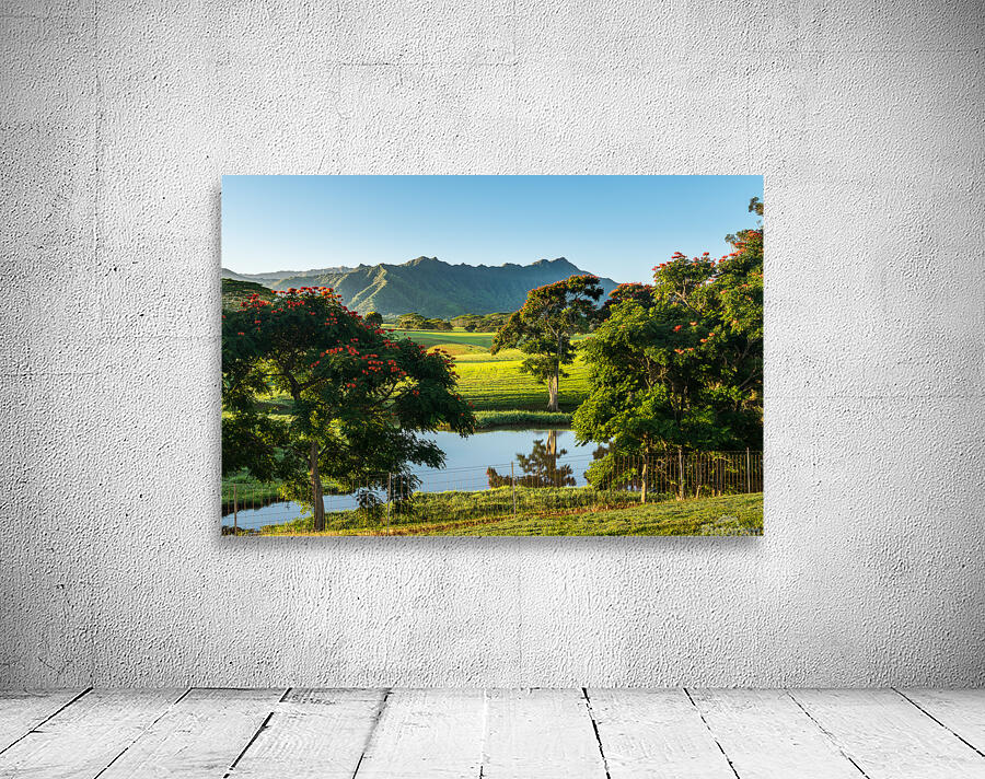 Striking landscape of garden island of Kauai Wall Preview