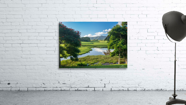 Striking Jurassic landscape on Kauai Wall Preview