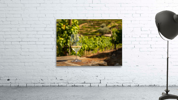 Glass of white wine in vineyard Wall Preview