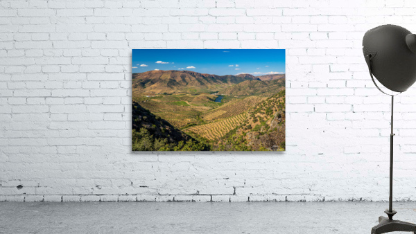 View from Miradouro Alto da Sapinha Wall Preview