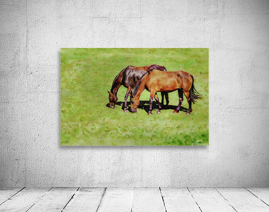 Digital water color of two brown horses Wall Preview