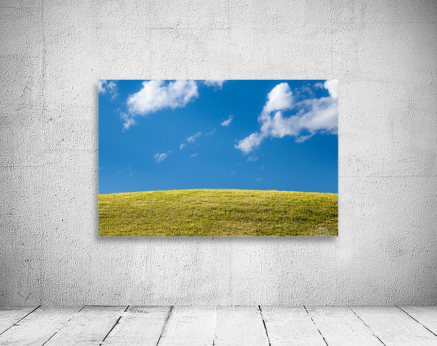 Green grassy lawn with blue sky and clouds Wall Preview
