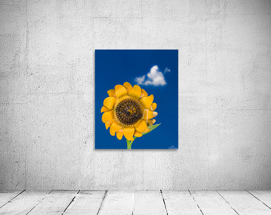 Metal sunflower against blue sky Wall Preview