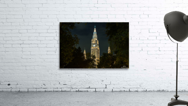  Rathaus in Vienna Austria Wall Preview
