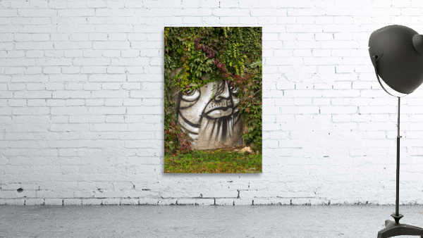 Graffiti on wall of rock like face of cat Wall Preview