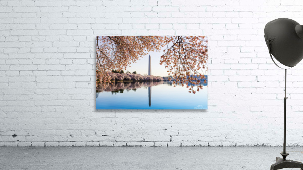 Washington Monument towers above blossoms Wall Preview